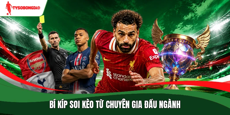 Bí kíp soi kèo từ chuyên gia đầu ngành