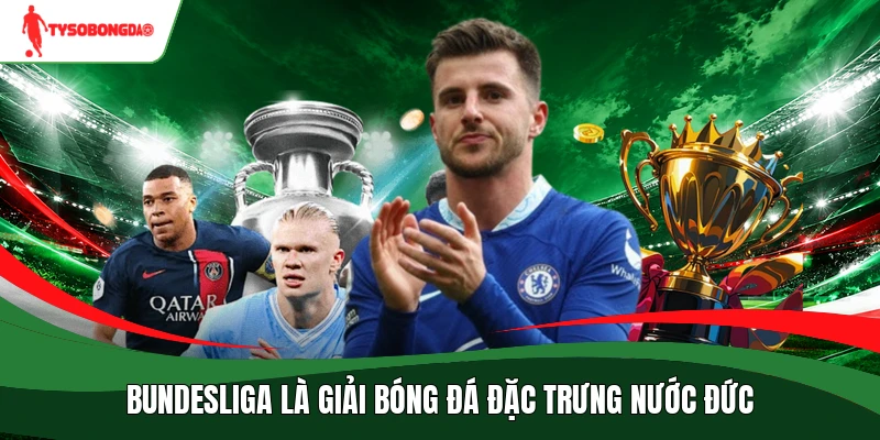 Bundesliga là giải bóng đá đặc trưng nước Đức