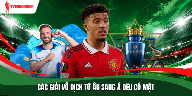 Các giải vô địch từ Âu sang Á đều có mặt