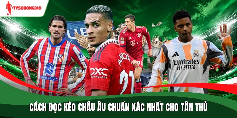 Cách đọc kèo châu Âu chuẩn xác nhất cho tân thủ