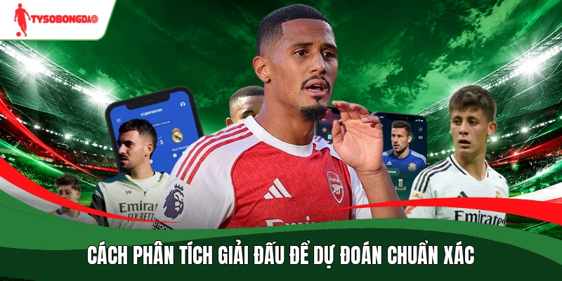 Cách phân tích giải đấu để dự đoán chuẩn xác