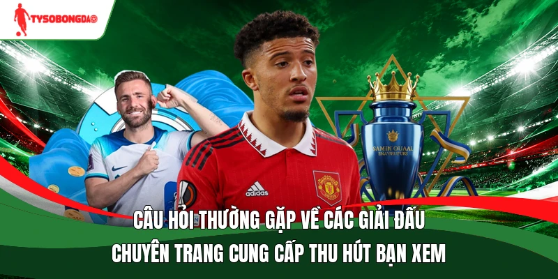 Câu hỏi thường gặp về các giải đấu chuyên trang cung cấp thu hút bạn xem