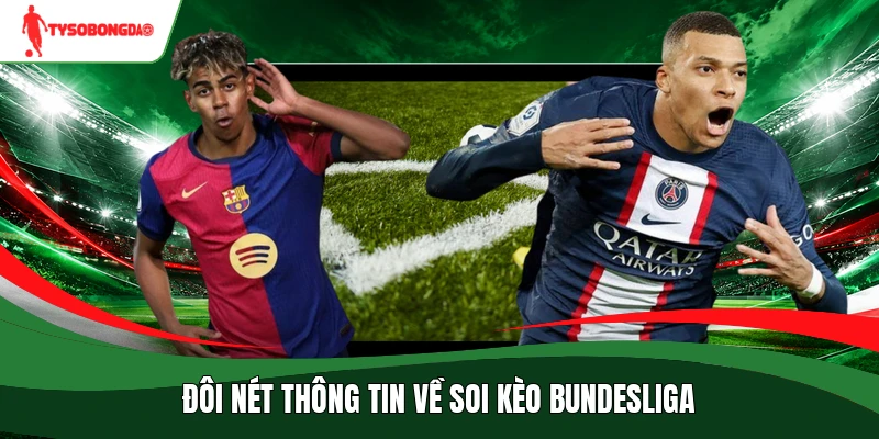 Đôi nét thông tin về soi kèo Bundesliga
