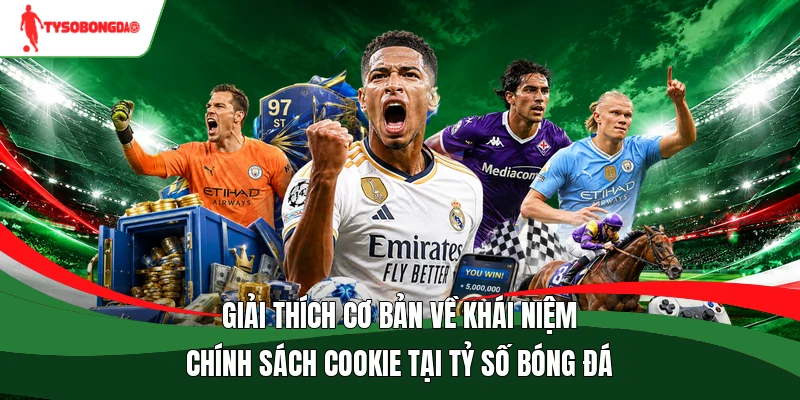 Giải thích cơ bản về khái niệm chính sách cookie tại Tỷ số bóng đá