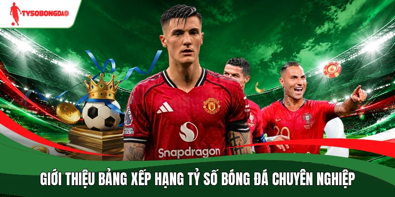Giới thiệu bảng xếp hạng Tỷ số bóng đá chuyên nghiệp