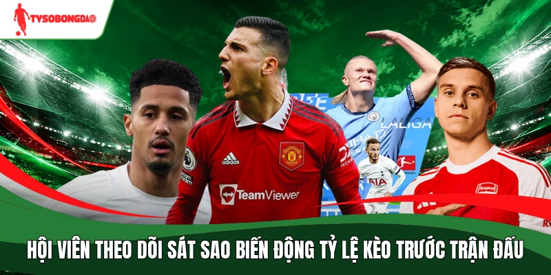 Hội viên theo dõi sát sao biến động tỷ lệ kèo trước trận đấu