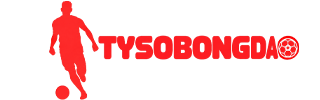 tysobongda.loan