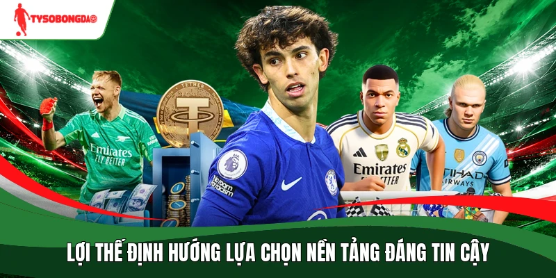 Lợi thế định hướng lựa chọn nền tảng đáng tin cậy