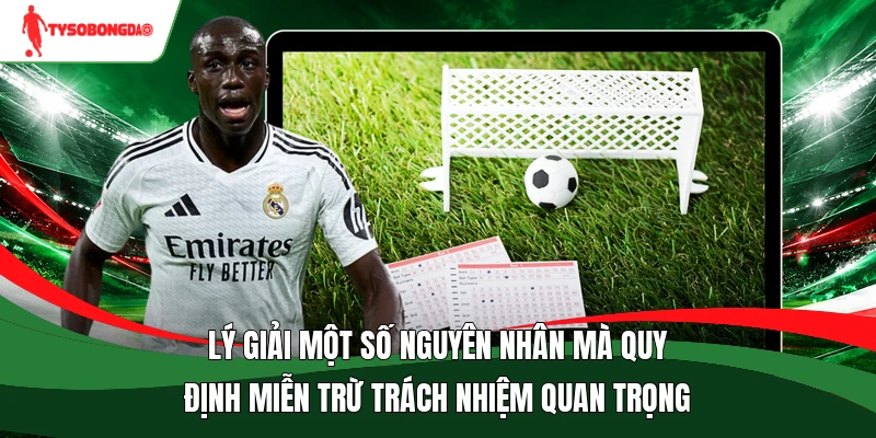 Lý giải một số nguyên nhân mà quy định miễn trừ trách nhiệm quan trọng