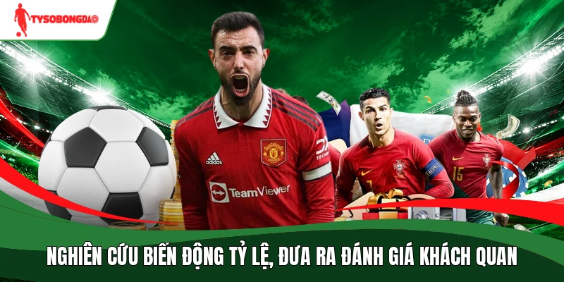 Nghiên cứu biến động tỷ lệ, đưa ra đánh giá khách quan