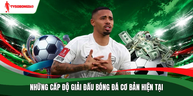 Những cấp độ giải đấu bóng đá cơ bản hiện tại