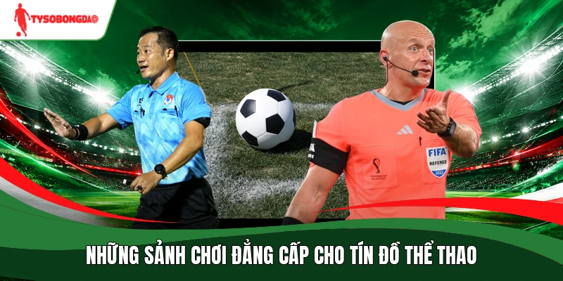 Những sảnh chơi đẳng cấp cho tín đồ thể thao