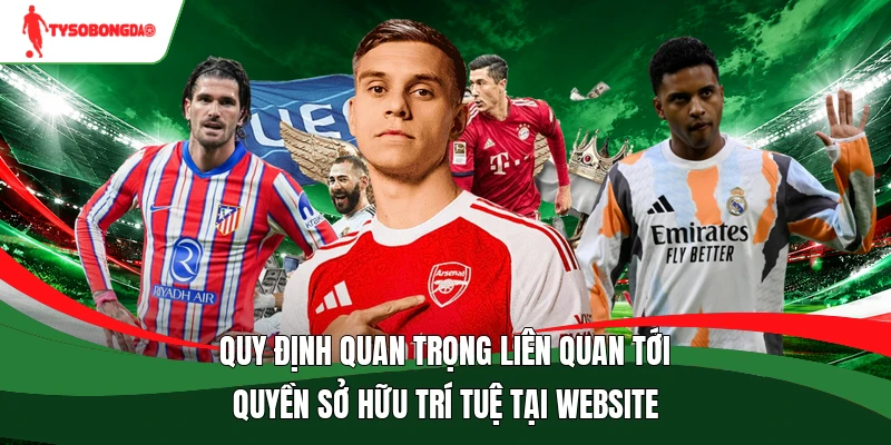 Quy định quan trọng liên quan tới quyền sở hữu trí tuệ tại website