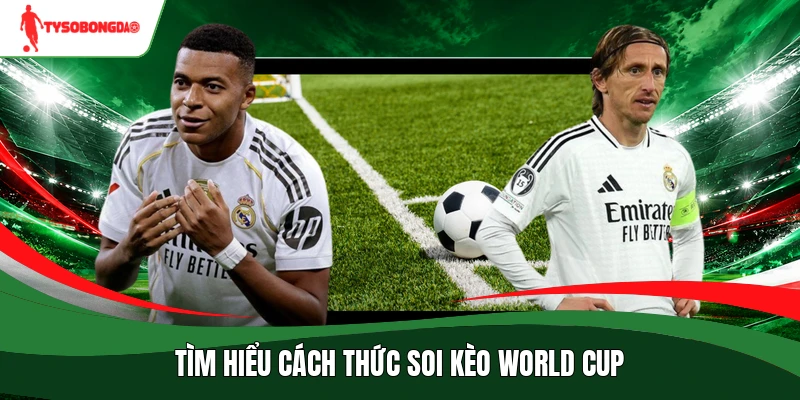 Tìm hiểu cách thức soi kèo World Cup