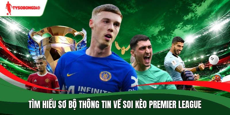 Tìm hiểu sơ bộ thông tin về soi kèo Premier League