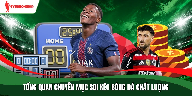 Tổng quan chuyên mục soi kèo bóng đá chất lượng