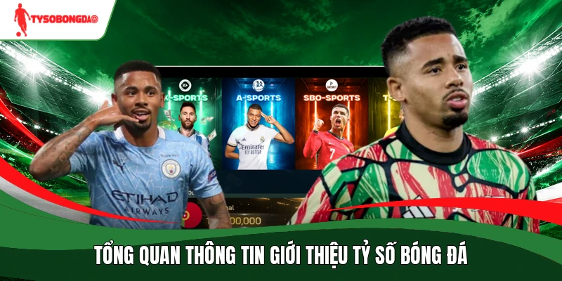 Tổng quan thông tin giới thiệu Tỷ số bóng đá