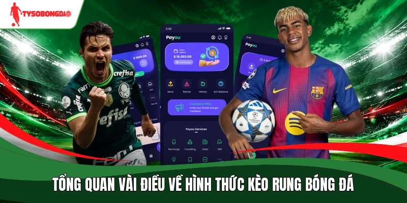 Tổng quan vài điều về hình thức kèo rung bóng đá