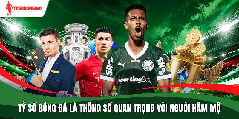 Tỷ số bóng đá là thông số quan trọng với người hâm mộ